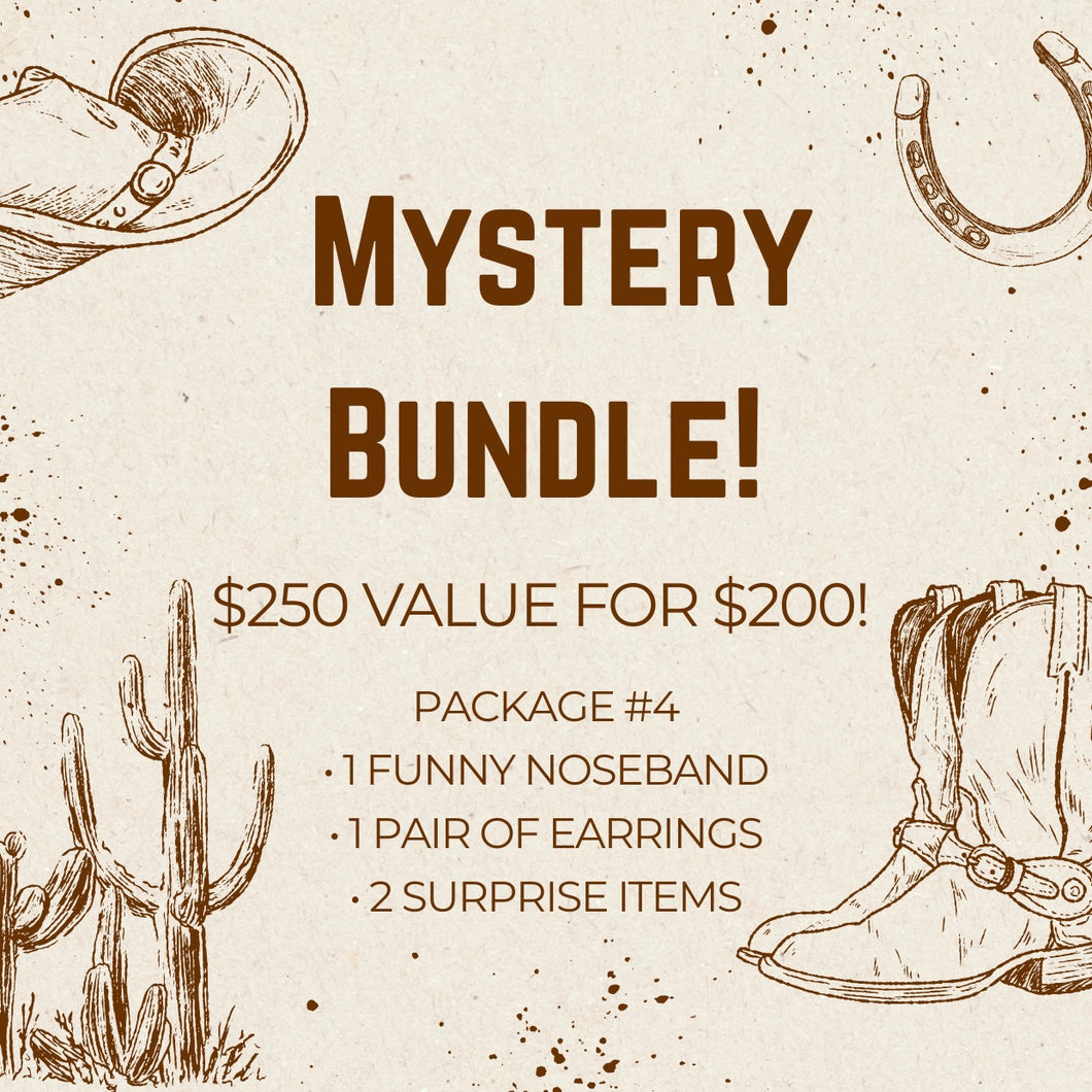 Mystery Bundle #4